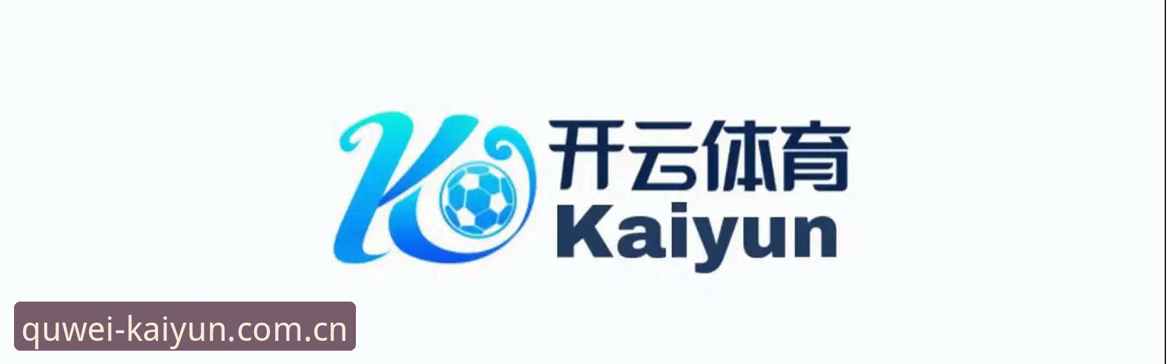 KAIYUN最新登录链接全面评测：2025开云竞猜地址实测体验报告